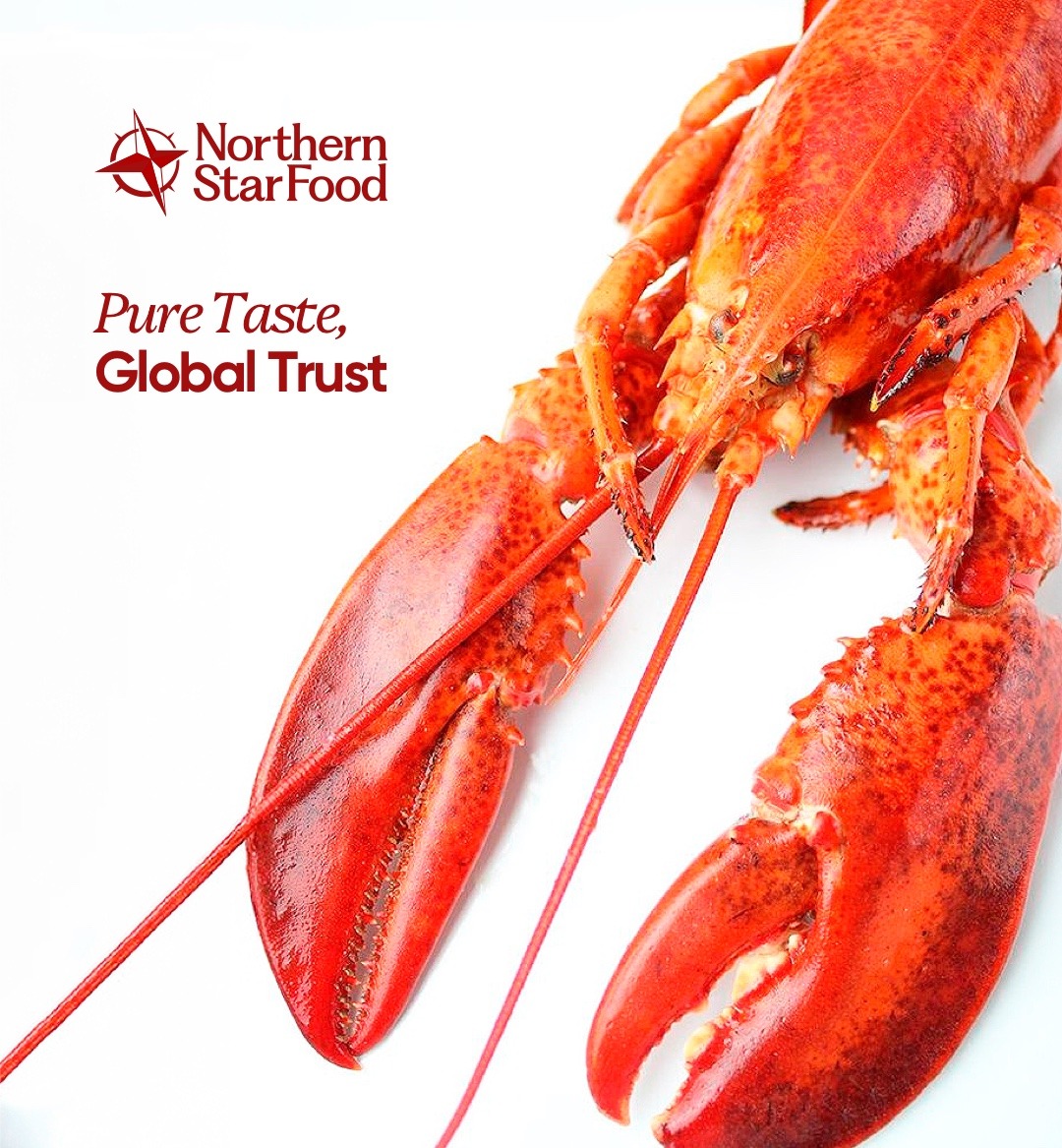 Northern Star Food - Pure Taste, Global Trust
